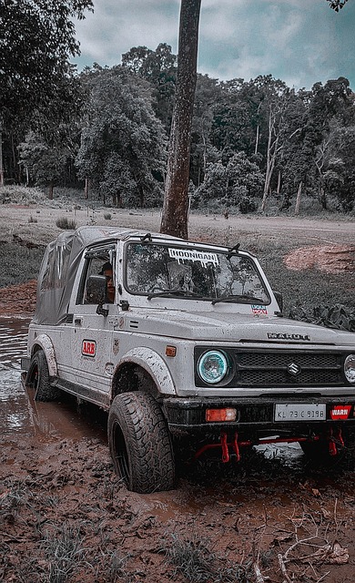 终于迎来了 终于迎来了