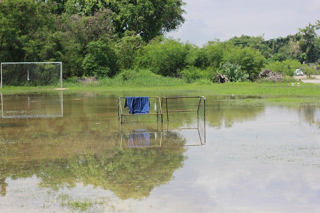 这位墨西哥 这位墨西哥