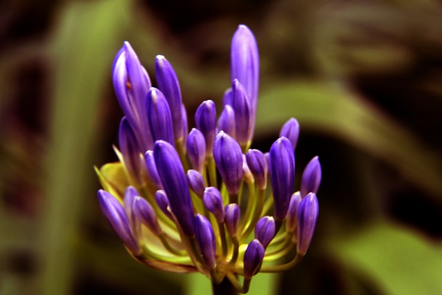 运动员内心 运动员内心