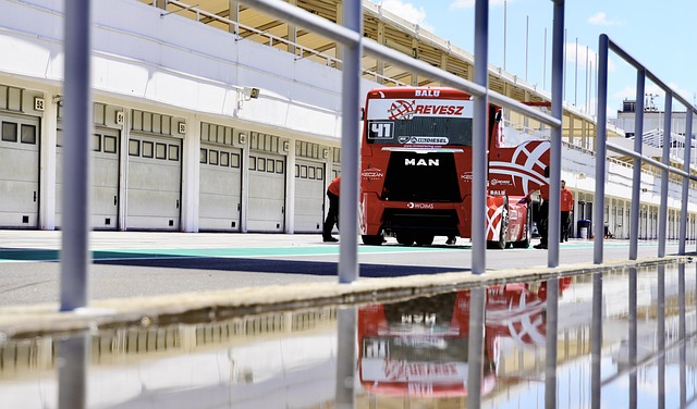 这一展示在 这一展示在