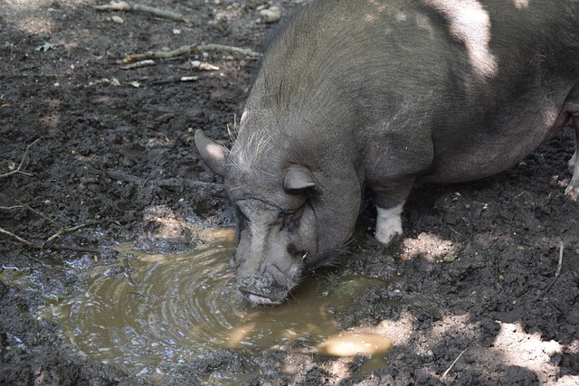 款以及对球 款以及对球
