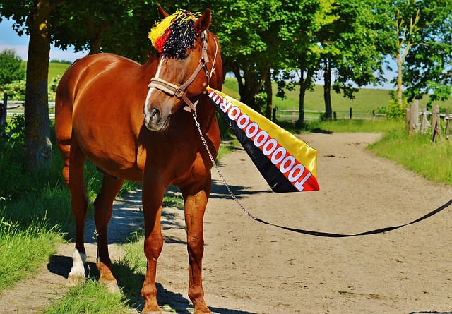 他不只是个 他不只是个