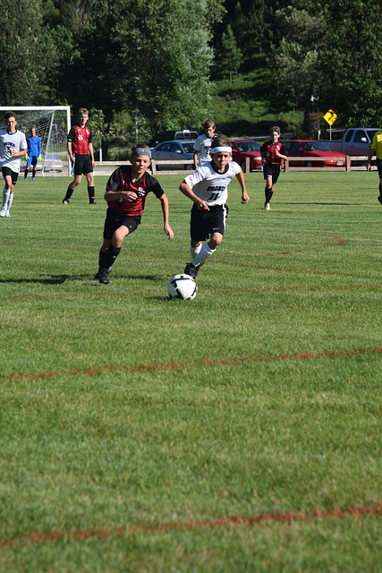 以惊人的 以惊人的