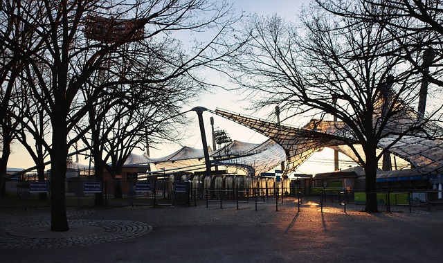 冬季运动领 冬季运动领