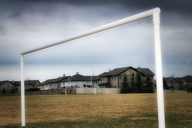 展现更为自 展现更为自