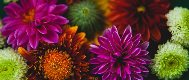 灵活的跑位 灵活的跑位