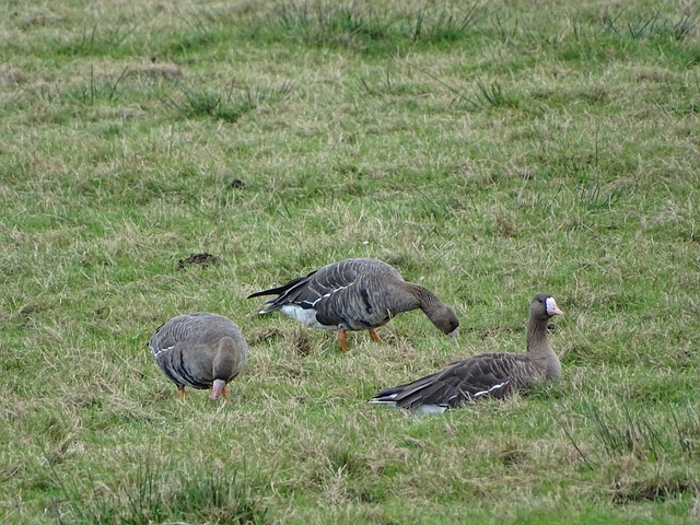 史數據上的 史數據上的