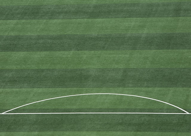 留给球迷的 留给球迷的